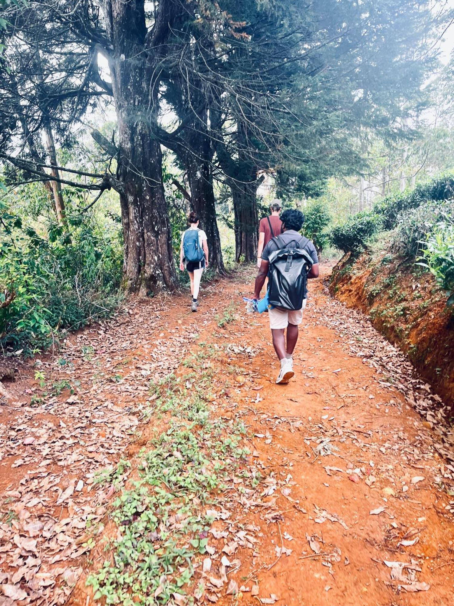 Gregory House Hostel Nuwara Eliya Dış mekan fotoğraf